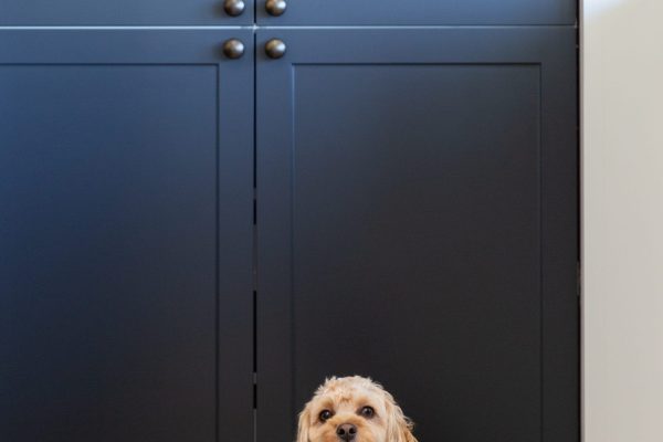 Dark grey Terril colour shaker cabinetry with a cavoodle dog pet